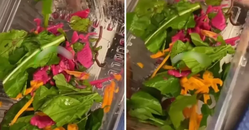 Pidecideki salatadan çıkan yok artık dedirtti