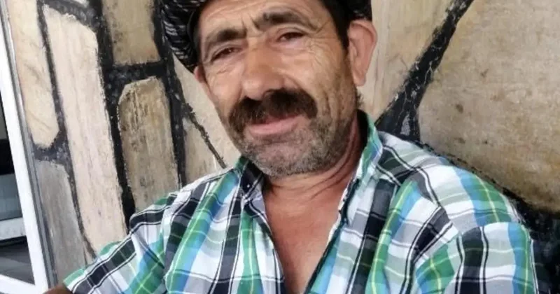 Traktörle Ağaç Çekerken Kafasına Düşen Dal, Adamın Ölümüne Neden Oldu