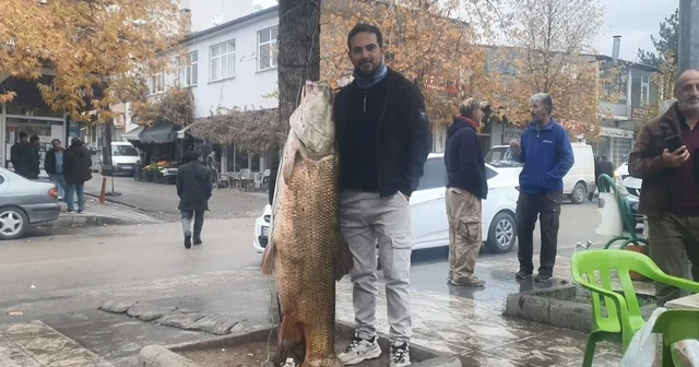 Elazığ da 60 kiloluk turna balığı yakalandı Elazığ Haberleri