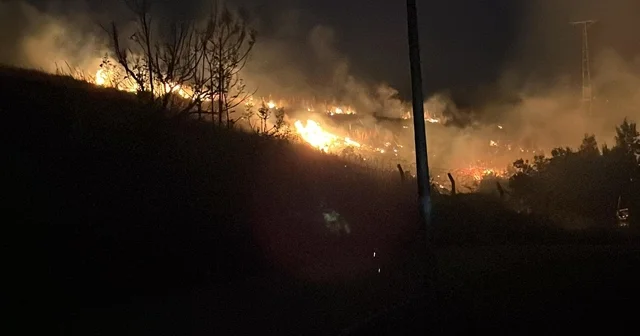 Hatay da çıkan otluk yangını söndürüldü Hatay Haberleri