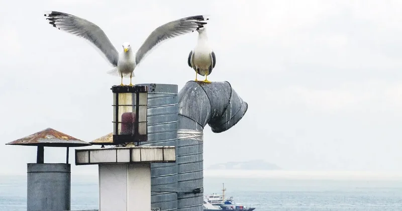 Apartmanın çatısında deniz feneri