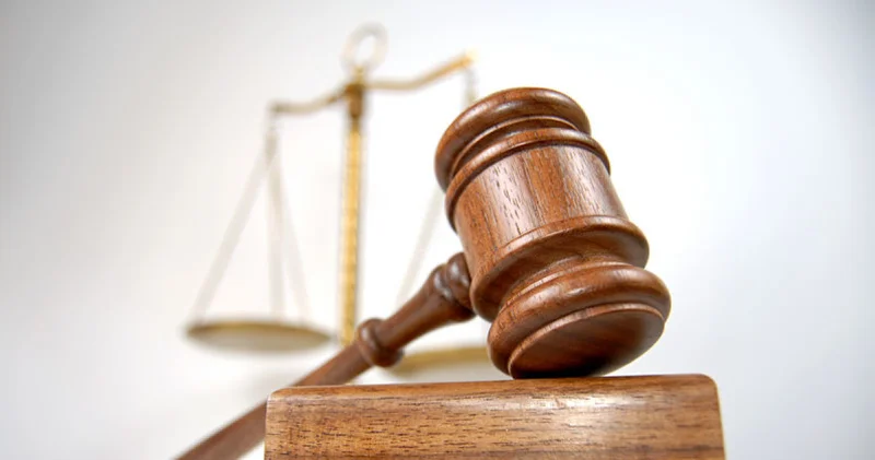 AfD li siyasetçinin yargılanmasına başlandı Dış Haberler