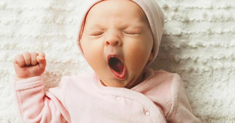 Ödüllü hoca Meclis’te anlattı... 1500 bebek bağımlı doğdu