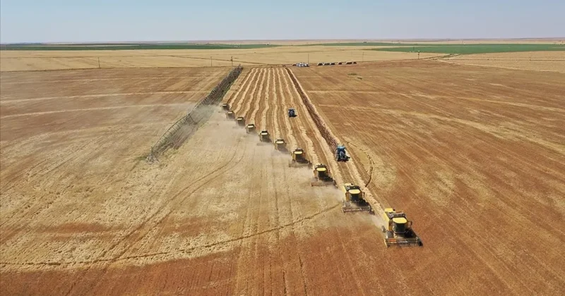 Tarıma dayalı projelerin tamamlanma tarihi belli oldu