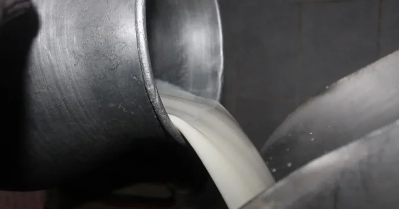 USK çiğ süt tavsiye fiyatını açıkladı