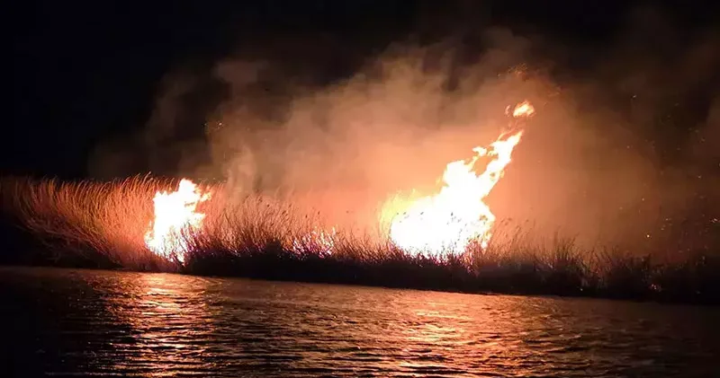 Milleyha Kuş Cenneti’nde sazlık yangını