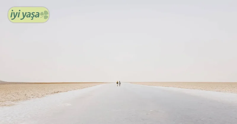 İsveç tarzı minimalizm: Lagom nedir?