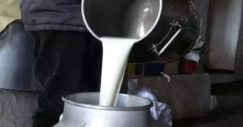 Çiğ süt fiyatları belli oldu!