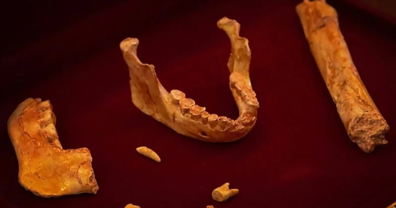 Fas’ta insanlık tarihini değiştiren keşif: 773 bin yıllık insan fosilleri gün yüzüne çıktı