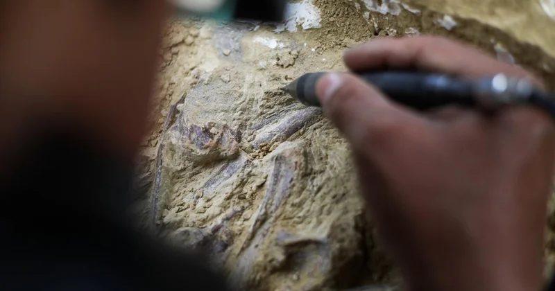 Fas ta 773 bin yıl öncesine ait insan fosilleri bulundu