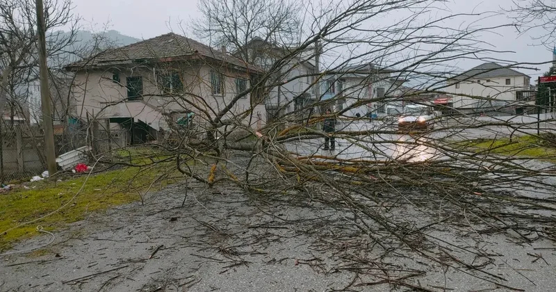 Düzce ve Kocaeli de şiddetli rüzgar bazı binaların çatısını uçurdu, ağaçları devirdi