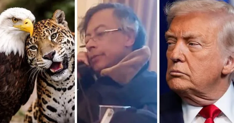 Kolombiya Cumhurbaşkanı Petro, jaguar ve kartal fotoğrafı paylaştı; Trump a önerisini açıkladı: Yenilenebilir enerjide Amerikan ittifakı!