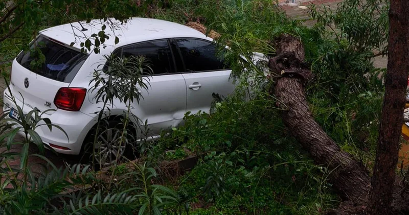 İzmir de fırtına kabusu! Ağaçlar kökünden söküldü: Arabaların üzerine devrildi!