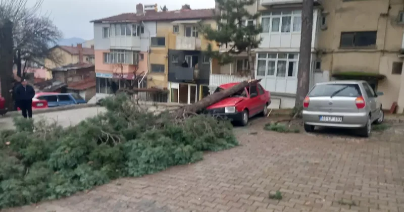 Gediz’de şiddetli rüzgar ağaçları devirdi, binalarda hasara sebep oldu