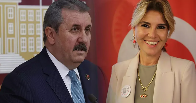 Destici den Gülben Ergen e yeni çıkış: Sanatçı manatçı değil