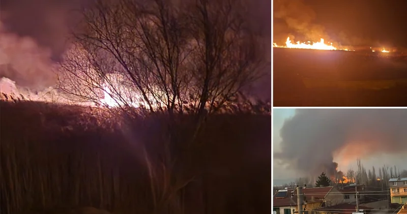 Eber Gölü nde 5 farklı noktada yangın çıktı Afyonkarahisar Haberleri