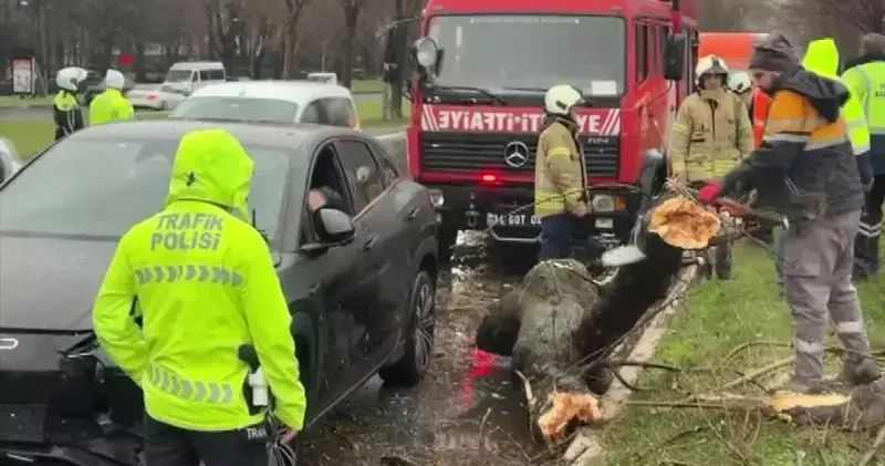 Bakırköy de rüzgar nedeniyle kopan ağaç dalı otomobilin üzerine düştü; 4 araç birbirine girdi