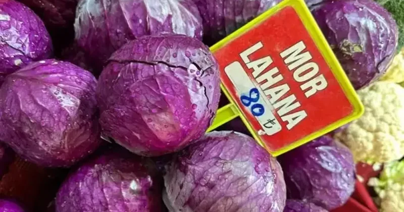 Tarlada 5 lira, pazarda 80 lira: Hepsi tarlada kaldı