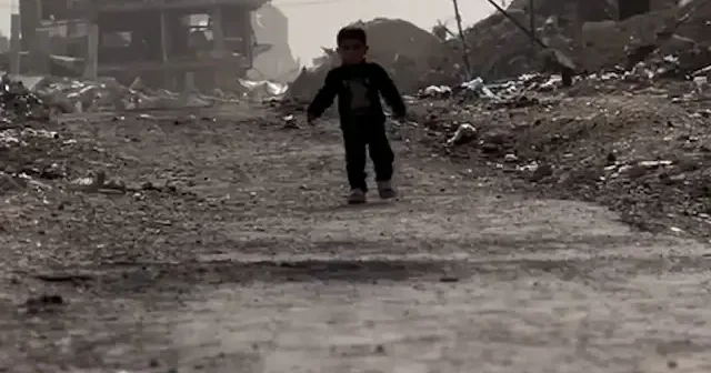 Bir penguen kadar konuşulmayan Gazze VİDEO İZLE