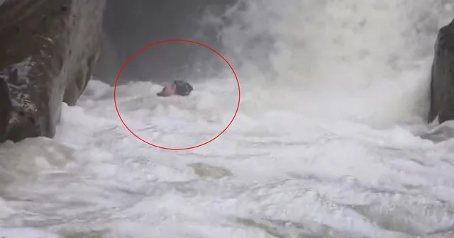 Dağcılar, yağışlar sonrası su seviyesi yükselen dereden geçerken zor anlar yaşadı Bursa Haberleri