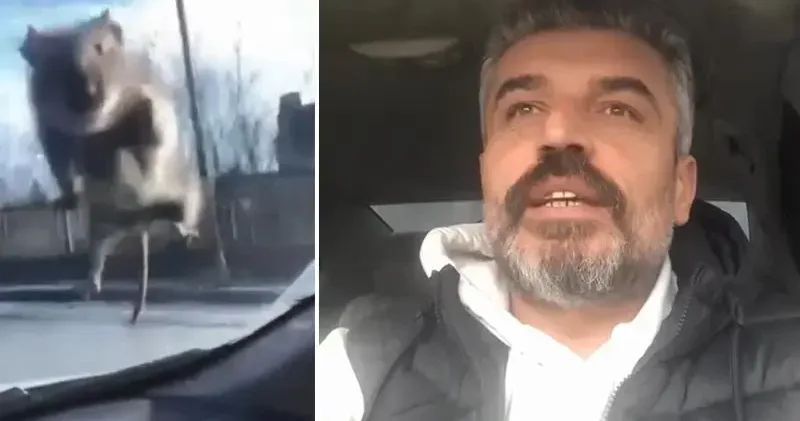 Başakşehir de yolda ilerleyen araca fare atladı; sürücü polis çevirmesine girince kaçtı