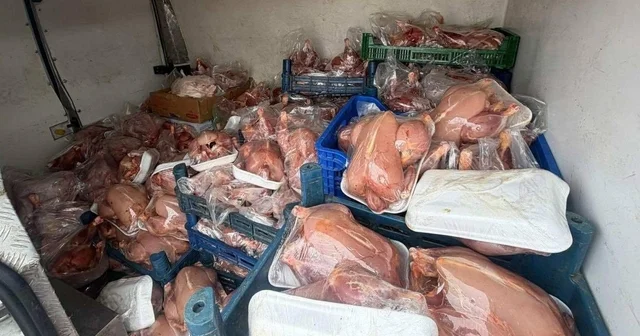 Van da sağlık ve sevk belgeleri bulunmayan 200 tavuk ele geçirildi Van Haberleri