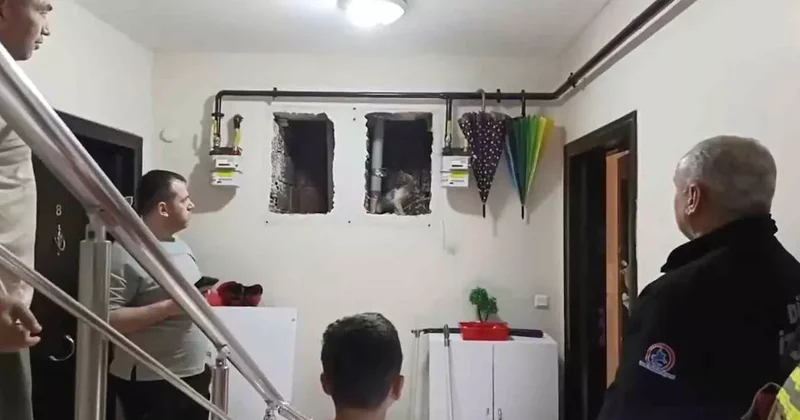 Küçük Yaser Kaan’ın dikkati kediyi kurtardı