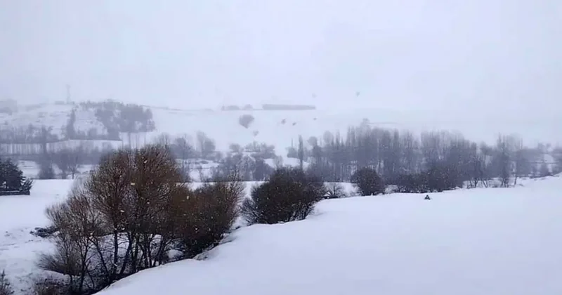 Tufanbeyli’de kar yağışı etkili oldu