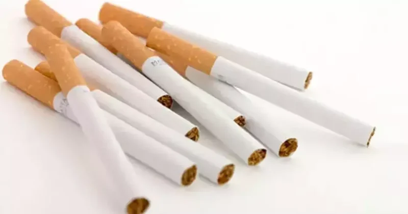 Çocuk parkları ve plajlarda sigara yasaklanacak mı?