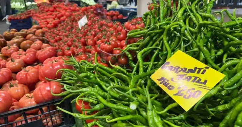 Seraları su bastı, kilosu 250 TL ye yükseldi!