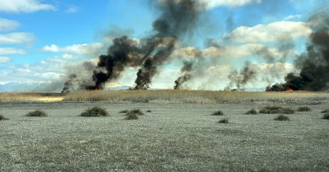 Sultan Sazlığı Milli Parkı nda yangın Kayseri Haberleri
