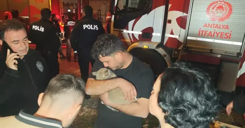 Daireyi alevler sardı! 5. kattaki boş dairede mahsur kalan kediyi itfaiye kurtardı