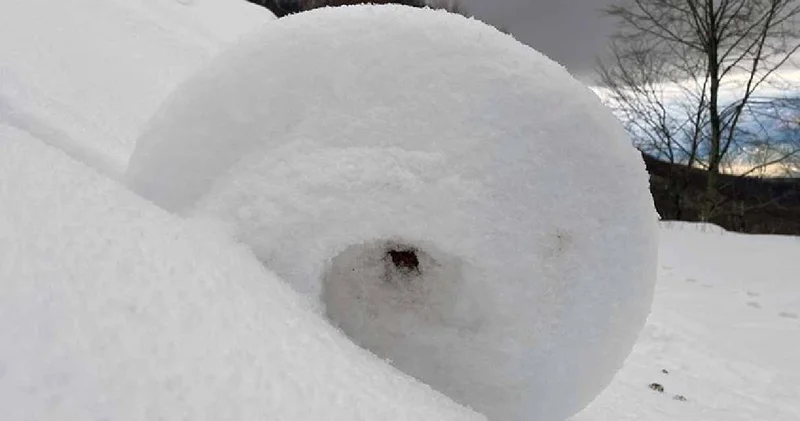 Dünyanın en nadir olayı Amasya da görüldü: Görenler büyülendi
