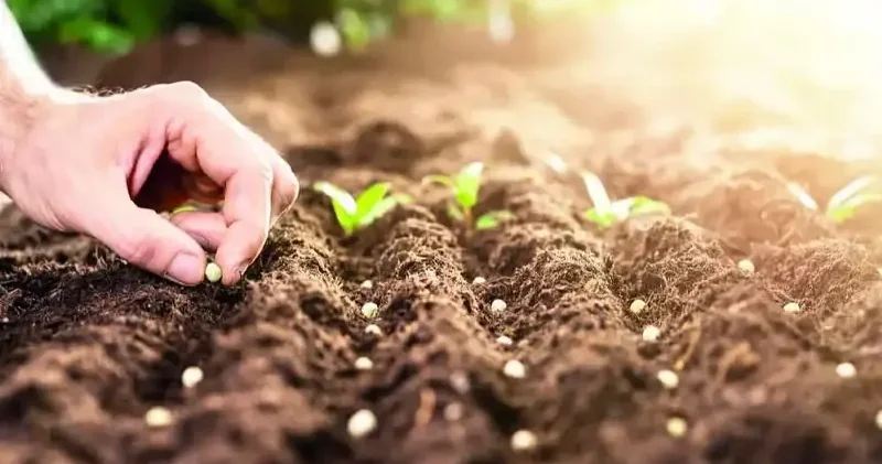 İşlenmeyen araziler tarıma kazandırılıyor Ekonomi Haberleri
