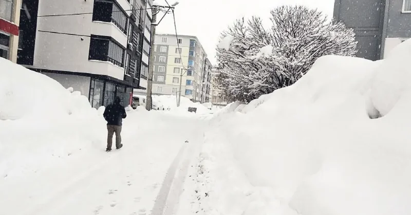 Baharı beklerken kar geldi