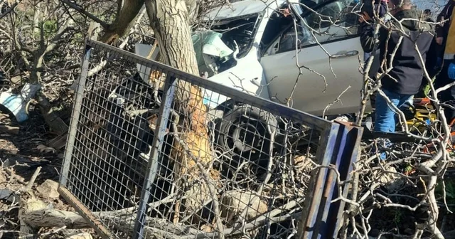 Kontrolden çıkan otomobil ağaçlara ok gibi saplandı: 2 ölü, 1 ağır yaralı Aydın Haberleri