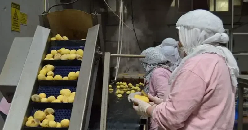 Gıda sektörüne ceza yağdı! Piyasayı bozanlara geçit yok