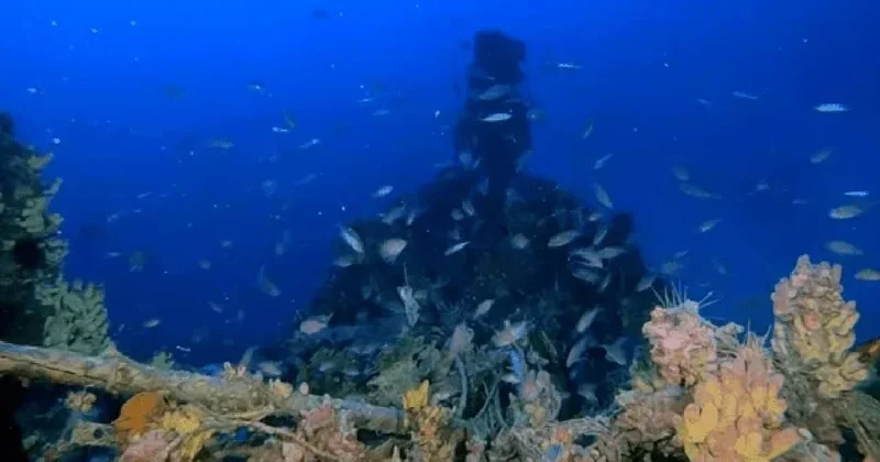 Akdeniz in dibinde robotik keşif: Eşsiz bir hazine buldu Sözcü Gazetesi