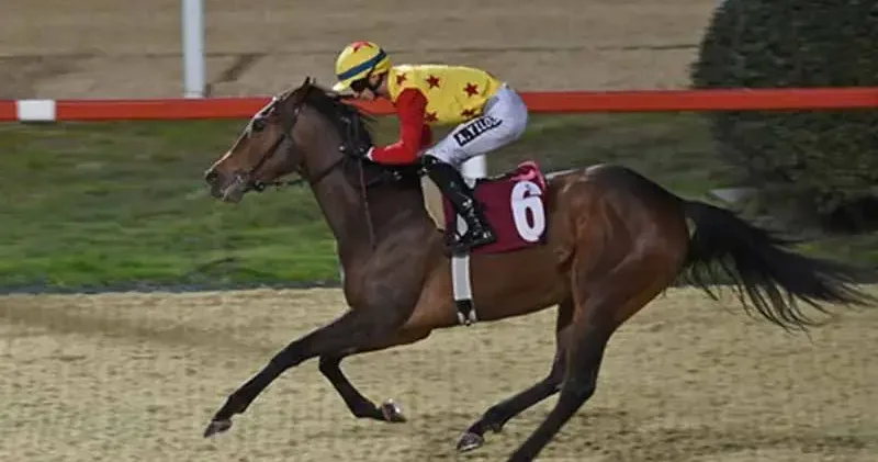 Dünya Kadınlar Günü Koşusu nda kazanan Jaehaera oldu