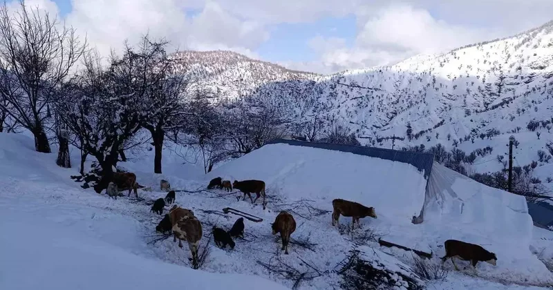 Batman’da mart ayında kar yağışı etkili oldu