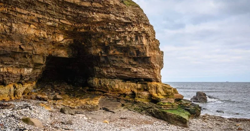 11 bin yıl boyunca aynı mağara kullanılmış: Tarih öncesi ritüel kanıtlandı Sözcü Gazetesi