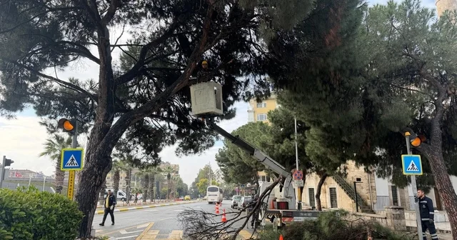 Aydın ın en işlek noktasına estetik dokunuş Aydın Haberleri