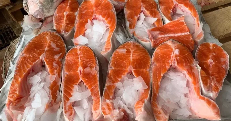 Türk somonuna talep büyük! 91 milyar doları aştı