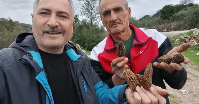 Manisa da kuzugöbeği tutkusu engel tanımıyor Manisa Haberleri