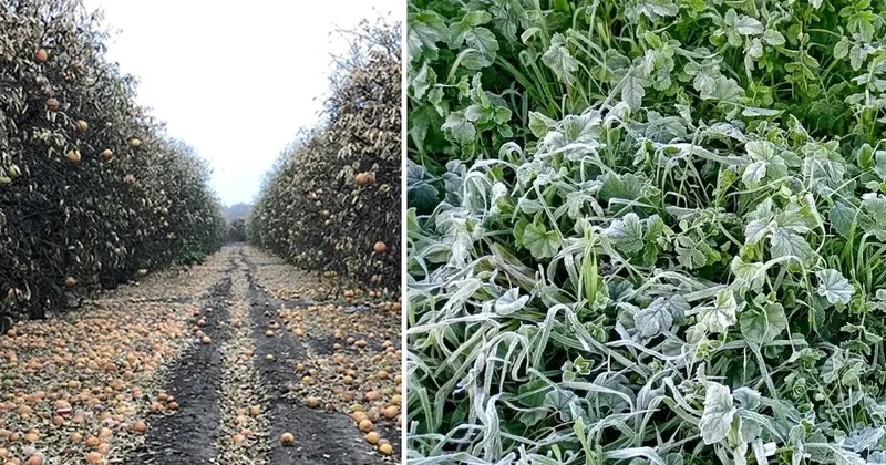 20 il için sarı kodlu uyarı! 11 Nisan a kadar sürecek Sözcü Gazetesi