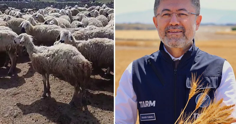 Bakan Yumaklı nın Örnek üretici dediği çiftçi video çekip yardım istedi