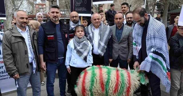 Elleriyle besleyip büyüttüğü kuzuyu Gazze ye bağışladı Kayseri Haberleri