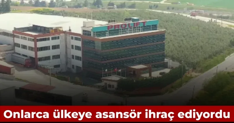 Onlarca ülkeye ihraç ediyordu: Dev firma iflas etti