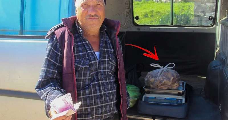 Kazdağları nın eteklerinden toplayıp kilosunu 1000 TL ye satıyorlar