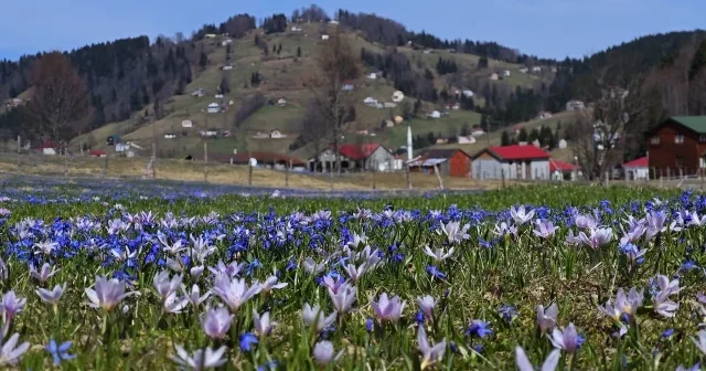 Kadıralak Yaylası mavi yıldızlarla süslendi VİDEO İZLE